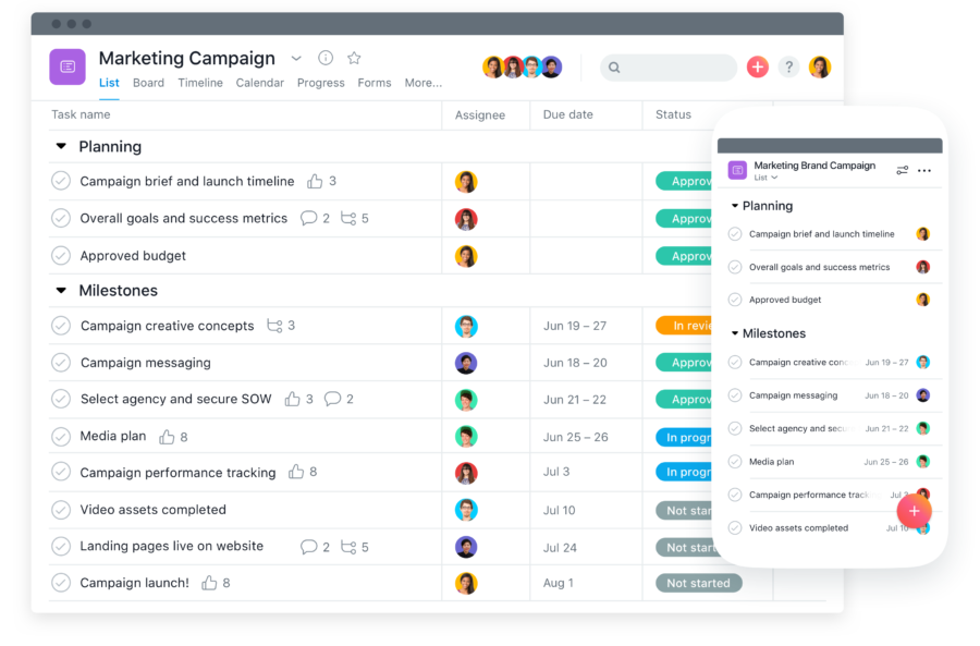 Asana Project Management For Creative teams