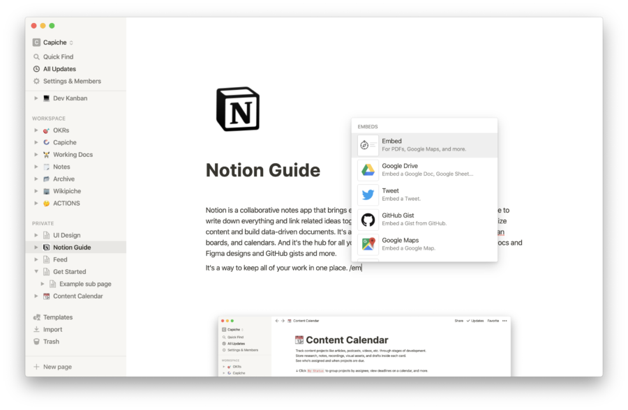 Notion Project Management tool